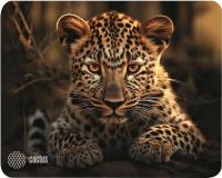 ������ ��� ���� Cactus Leopard 250x200x3�� (CS-MP-D06S)