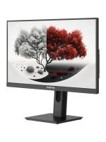 ������� RDW Computers 23.8" RDW2401K ������ IPS 4ms HDMI M/M HAS Piv 350cd 178��/178�� 1920x1080 120Hz VGA DP FHD USB (RUS)
