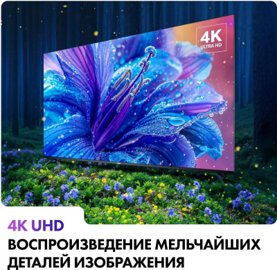 ��������� HAIER 55" Smart TV S2, 4K Ultra HD, ������, ����� ��, Android TV