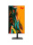Моноблок iRU Tactio 24ID, 24.5" (1920x1080) IPS/Intel Core i5-12400/16 DDR4/512 ГБ SSD/Intel UHD Graphics/Без ОС, Черный (2170747) Моноблок iRU Tactio 24ID, 24.5" (1920x1080) IPS/Intel Core i5-12400/16 DDR4/512 ГБ SSD/Intel UHD Graphics/Без ОС, Черный (2170747)