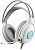 �������� � ���������� A4Tech Fstyler FH300U ����� 2� ��������� USB �������� (FH300U WHITE)
