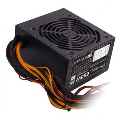 ���� ������� Silverstone 600�� SST-ST60F-ES230 V1.0