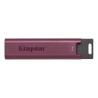 ���� ���� Kingston 1.0Tb DataTraveler Max <DTMAXA/1TB>, USB 3.2, up to 1000/900MBs ������