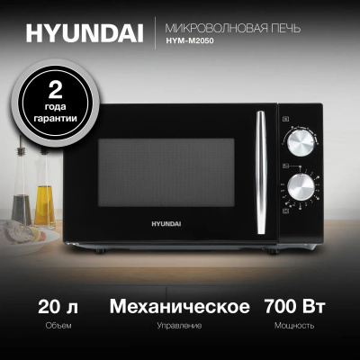������������� ���� Hyundai HYM-M2050 ������ ����