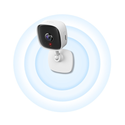 ������ ��������������� IP TP-Link Tapo C110
