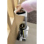 Пылесос моющий Karcher FCV 4 180Вт белый/черный Пылесос моющий Karcher FCV 4 180Вт белый/черный