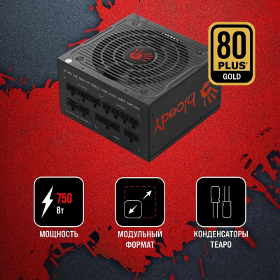 ���� ������� Bloody ATX 750W BD-PS750G 80+ gold (20+4pin) APFC 120mm fan 6xSATA Cab Manag RTL