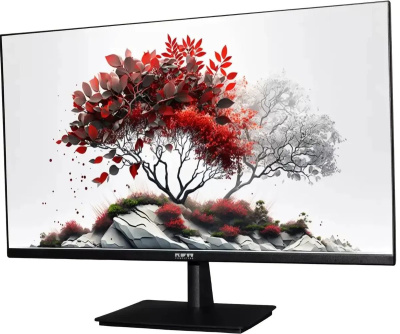 ������� RDW Computers 23.8" RDW2401K ������ IPS 