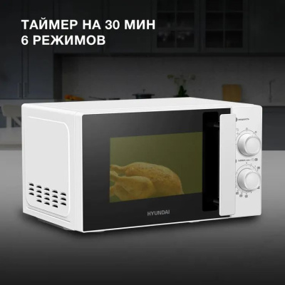 ������������� ���� Hyundai HYM-M2090 20�. 700�� �����