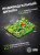 Коврик для мыши Cactus Frogs 300x250x3мм (CS-MPC-D09M) Коврик для мыши Cactus Frogs 300x250x3мм (CS-MPC-D09M)