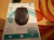 Мышь Logitech M90 Grey USB Mouse (910-001794 / 910-001793) Мышь Logitech M90 Grey USB Mouse (910-001794 / 910-001793)