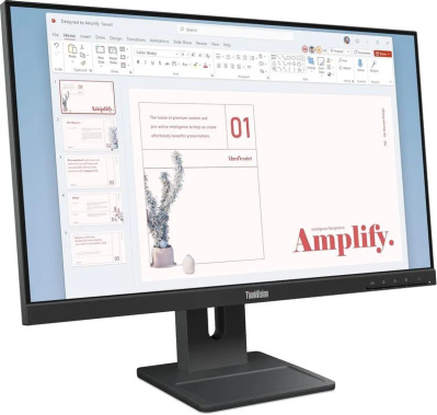 ������� Lenovo 23.8" ThinkVision E24-40 FHD IPS LED 100Hz ������ (64BAMAT1UK)