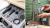 Мясорубка Bosch MFWS607W белый Мясорубка Bosch MFWS607W белый