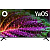 ��������� LED BBK 50" 50LEX-8232/UTS2C (B) ������.�� ������ 4K Ultra HD 60Hz DVB-T2 DVB-C DVB-S2 USB WiFi Smart TV (RUS)