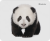 Коврик Defender для мышки WILD ANIMALS 50803 Коврик Defender для мышки WILD ANIMALS 50803