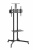 Подставка для телевизора Ultramounts UM 262 черный 37"-70" макс.50кг напольный мобильный Подставка для телевизора Ultramounts UM 262 черный 37"-70" макс.50кг напольный мобильный