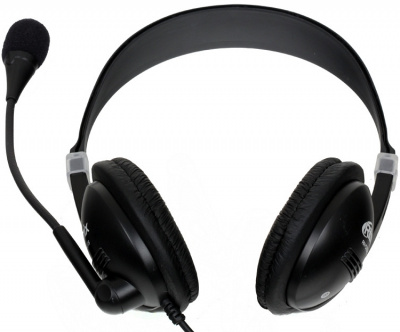 ��������� Ritmix RH-533 USB Black