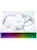 Кулер для корпуса Thermalright TL-M12RW Reverse (124x120x25mm, 4-pin PWM, ARGB, 42.6CFM, 23.2dBA, 1500RPM, White) Кулер для корпуса Thermalright TL-M12RW Reverse (124x120x25mm, 4-pin PWM, ARGB, 42.6CFM, 23.2dBA, 1500RPM, White)