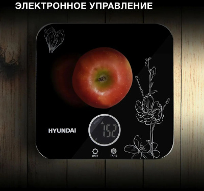 ���� �������� Hyundai HYS-KG421