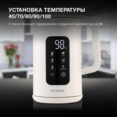 ������ ������������� Hyundai HYK-S4606 1.7�. 2200�� �������� ������: ������