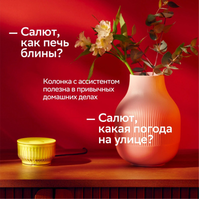 ����� ������� Sber Boom Mini 2 SBDV-00250G ����� ����� 5W Mono BT/Wi-Fi