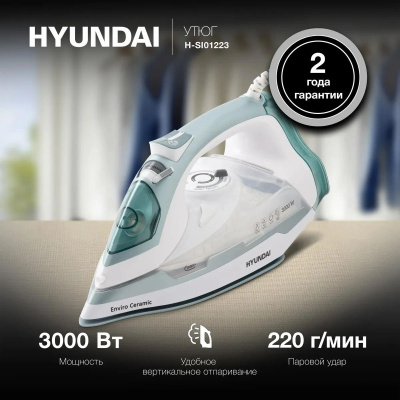 ���� Hyundai H-SI01223 3000�� �����/����������
