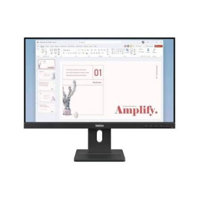 ������� Lenovo 23.8" ThinkVision E24-40 FHD IPS LED 100Hz ������ (64BAMAT1UK)