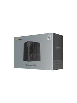 ���� ������� Ocypus Gamma P550, 550W, APFC, 80+, 120mm Fan (P550-W)
