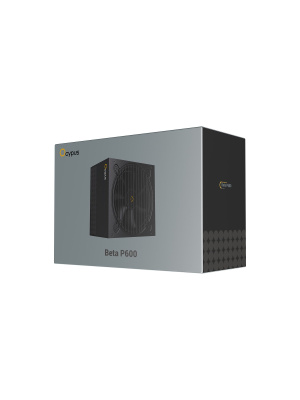 ���� ������� Ocypus Beta P600, 600W, APFC, 120mm Fan (P600-N)