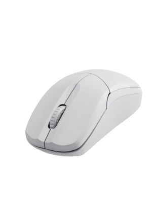���� ������������ RAPOO B1S Silent, ���� - ����� (13344)