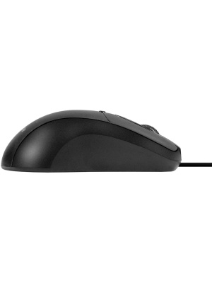 ���� ExeGate Professional Standard B100L (USB, ����������, 1000dpi, 3D, 3 ������ � ������ ���������, ����� ������ 2�, ������, Color Box) EX298196RUS