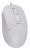 Мышь A4Tech Fstyler FM12S белый оптическая (1200dpi) silent USB (3but) Мышь A4Tech Fstyler FM12S белый оптическая (1200dpi) silent USB (3but)