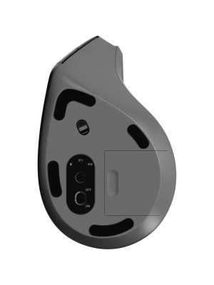 ���� ������������ ������������ RAPOO EV310M, ���� - ������
