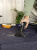 Пылесос моющий Karcher SE 5 Car 1000Вт белый/черный Пылесос моющий Karcher SE 5 Car 1000Вт белый/черный