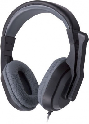 ��������� Ritmix RH-534M Grey