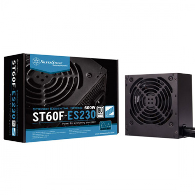 ���� ������� Silverstone 600�� SST-ST60F-ES230 V1.0