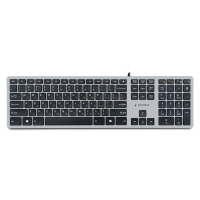 ���������� ����������� ���� Gembird KB-8420,