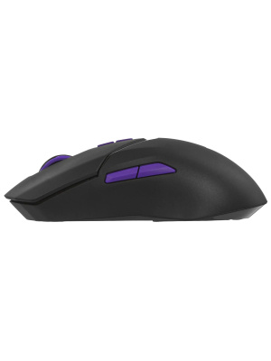 ������� ���� ���������/������������ RAPOO VT9 PRO 4K, ���� - ������
