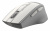 Мышь A4 Fstyler FG30S белый/серый оптическая (2000dpi) silent беспроводная USB (6but) Мышь A4 Fstyler FG30S белый/серый оптическая (2000dpi) silent беспроводная USB (6but)