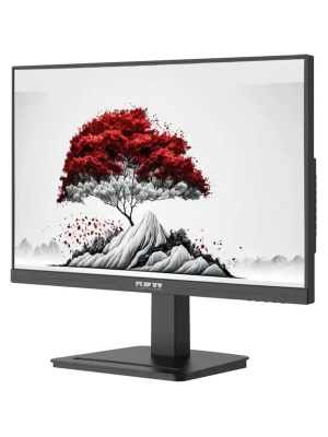 ������� RDW Computers 23.8" RDW2401K ������ IPS 4ms HDMI M/M HAS Piv 350cd 178��/178�� 1920x1080 120Hz VGA DP FHD USB (RUS)