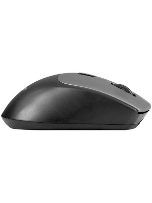 ������������ ���� ExeGate Professional Standard BT-070 (���������� 2,4 ���+ Bluetooth5.2, ����������, 1600dpi, 6D, 6 ������ � ������ ���������) EX298897RUS