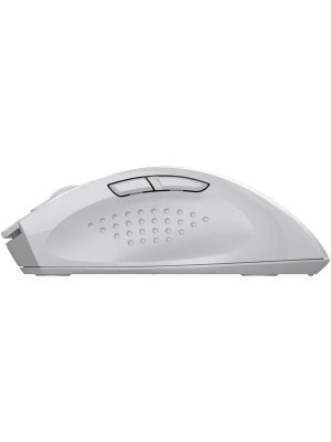 ���� A4Tech Fstyler FG55S Plus ����� ���������� 1200dpi �������. USB