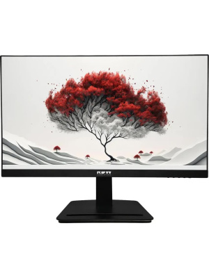 ������� RDW Computers 23.8" RDW2401K ������ IPS 4ms HDMI M/M HAS Piv 350cd 178��/178�� 1920x1080 120Hz VGA DP FHD USB (RUS)