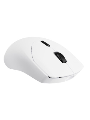 ������� ���� ���������/������������ RAPOO VT9 DM, ���� - ����� (13424)
