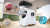 Мясорубка Bosch MFWS607W белый Мясорубка Bosch MFWS607W белый