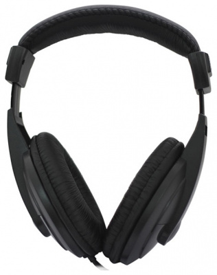 �������� Ritmix RH-524