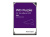 Жесткий диск SATA 1TB WDC PURPLE WD11PURZ Жесткий диск SATA 1TB WDC PURPLE WD11PURZ