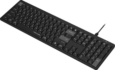 ���������� A4Tech Fstyler FX55 ������ USB