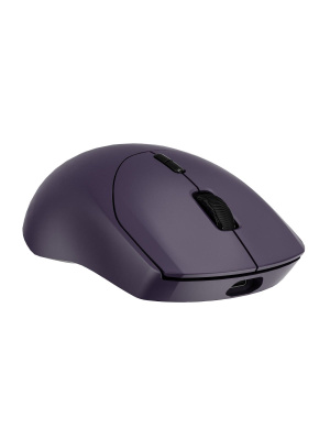 ������� ���� ���������/������������ RAPOO VT9 DM, ���� - ���������� (13425)