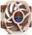 ����� ��� �������